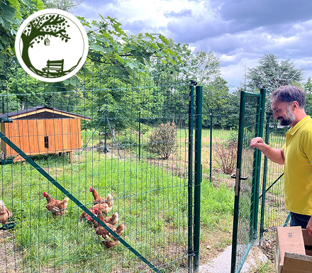 La Maison d'Alice - poules - De Racines en Bourgeons- logo
